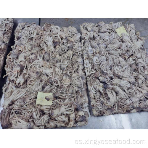 Tentáculos de calamares limpiados congelados